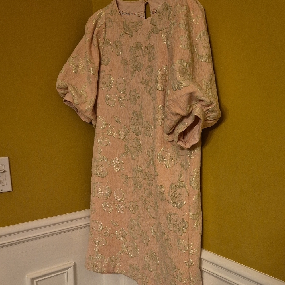 Umgee Pink and Gold Floral Dress